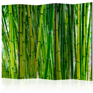 Paraván - Bamboo Forest II [Room Dividers] 225x172 7-10 dní
