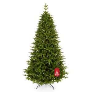 Jedľa Kaukazská 250 cm