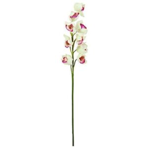 Europalms Vetvička orchidey Europalms, Orchidea vetvička, bielo-ružová, 90cm