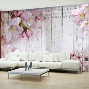 Fototapeta - Apple Blossoms 400x280 cm