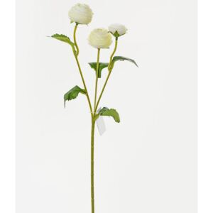 Ranunculus biely 43cm x3