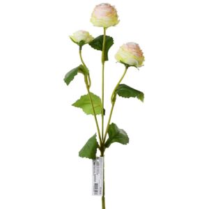 Ranunculus sv.ružový 43cm x3