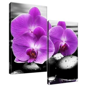 Obraz na plátne Fialová orchidea 60x60cm 1379A_2A