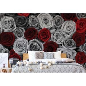Fototapeta - Red Roses Black And White Vliesová tapeta - 416x254 cm