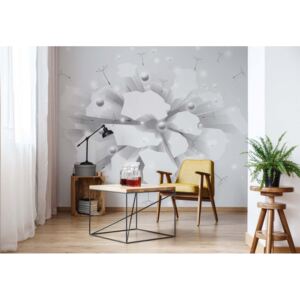 Fototapeta - 3D Blast White And Grey Vliesová tapeta - 416x254 cm