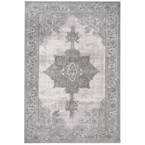 Nouristan - Hanse Home koberce Kusový koberec Provence 104626 Silver/Cream - 80x150 cm