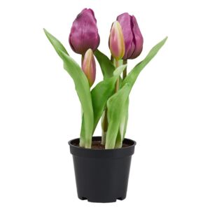 FLORISTA Tulipány "Real Touch" v kvetináči - fialová