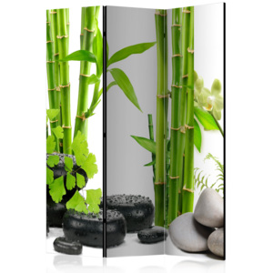 Paraván - Bamboos and Stones [Room Dividers] 135x172