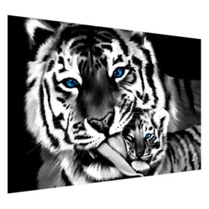 Samolepiaca fólia Čiernobiely tiger a tigrík 200x135cm OK2574A_1AL