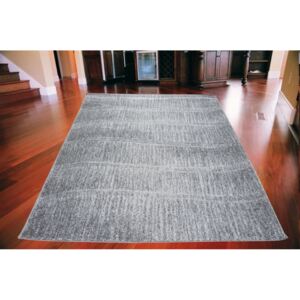 Kusový koberec Titus sivý, Velikosti 160x220cm