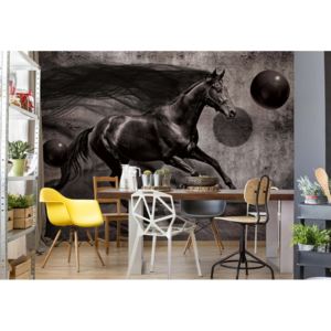 Fototapeta - Horse 3D Vliesová tapeta - 206x275 cm