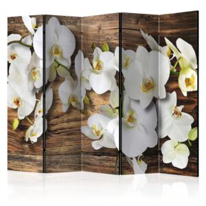 Paraván - Forest Orchid II [Room Dividers] 225x172
