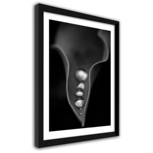 CARO Obraz v ráme - Water Drops On A Leaf 30x40 cm Čierna