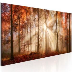 Obraz - Autumnal Dawn 150x50