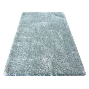 DY Shaggy koberec Merinos - mentolový Rozmer: 120 x 170 cm
