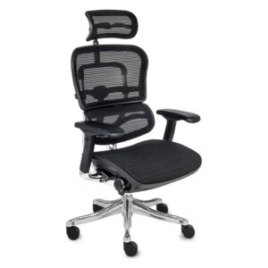 Kancelárske kreslo Ergohuman Plus Elite BS KMD31