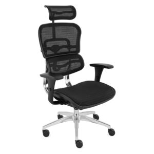 Kancelárské kreslo Ergohuman Basic BS KMD31