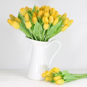 Jarný tulipán - tmavo žltý 1 ks