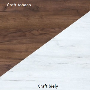 WIP Šatníková skriňa RIO 21 Farba: Craft tobaco / craft biely
