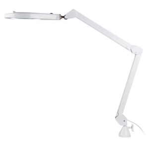 LIVARNO® LED lampa s lupou (100271684)