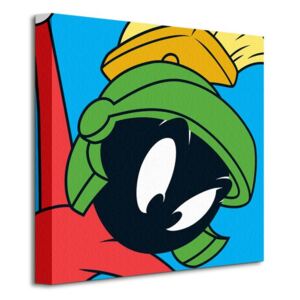 Obraz na plátne Looney Tunes (Marvin The Martian) 40x40cm WDC95123