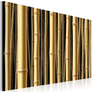 Obraz na plátne - Hnědé lodyhy bambusu 60x40 cm