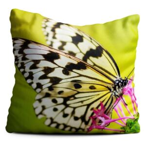 Zelený polštář Oyo home Butterfly, 40 x 40 cm