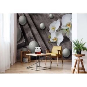 Fototapeta - Adult Mural Wallpaper Modern Modern Flowers, Nature, and Swirls Vliesová tapeta - 368x254 cm