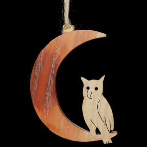 MOON WITH OWL