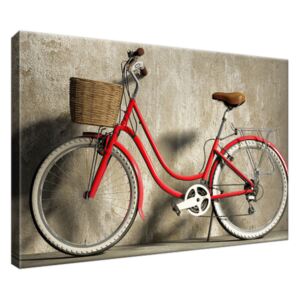 Obraz na plátne Červený bicykel 30x20cm 1219A_1T