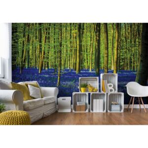 Fototapeta - Blue Forest Trees Papírová tapeta - 184x254 cm