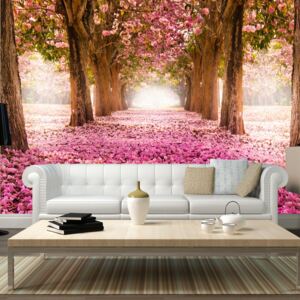 Fototapeta Bimago - Pink grove + lepidlo zadarmo 400x280 cm