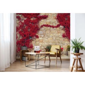 GLIX Fototapeta - Red Flowers Old Stone Wall Vliesová tapeta - 416x254 cm
