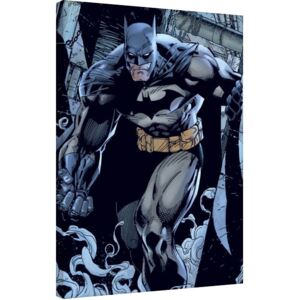 Obraz na plátne Batman - Prowl, (60 x 80 cm)