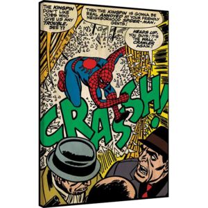Obraz na plátne Spiderman - Crash, (60 x 80 cm)