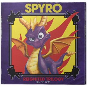 Obraz na plátne Spyro - Retro Style, (40 x 40 cm)