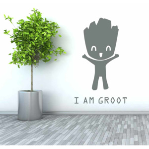 GLIX Groot 3 - samolepka na stenu Šedá 50x30 cm