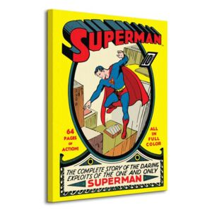 Obraz na plátne DC Comics Superman (No.1) 60x80 WDC90012