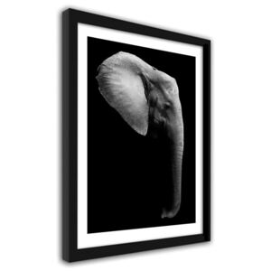 CARO Obraz v ráme - Elephant In Black And White 30x40 cm Čierna