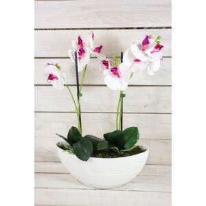 Umelá orchidea v črepníku (v. 49 cm) - bielo-fialová
