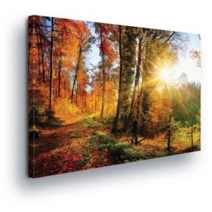Obraz na plátne - Autumn Leaves in the Woods 100x75 cm