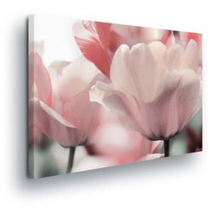 Obraz na plátne - Light Pink Tulip Flowers 4 x 30x80 cm