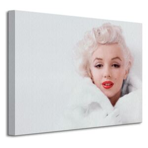 Obraz na plátne Marilyn Monroe (White) 40x30cm WDC92172