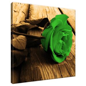 Obraz na plátne Nádherná zelená ruža 30x30cm 2189A_1AI