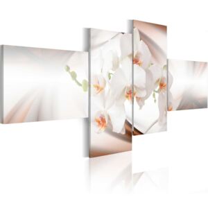 Obraz na plátne - Krémově bílé orchideje 200x90
