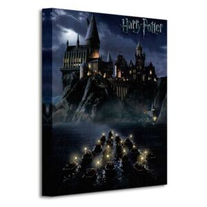 Obraz na plátne Harry Potter (Hogwarts School) 30x40cm S-WDC92246