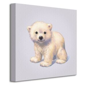 Obraz na plátne Polárny medvedík Butler John 40x40cm WDC95285