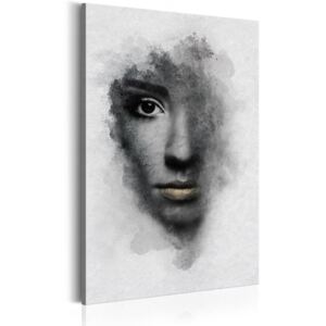 Bimago Obraz na plátne - Grey Portrait 40x60 cm