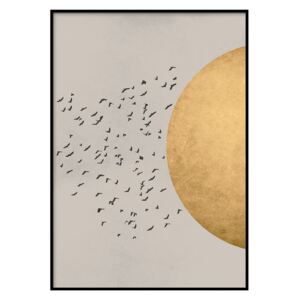 Nástenný plagát v ráme BIRDS/SILHOUTTE, 40 x 50 cm