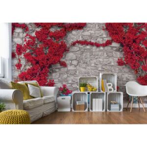 GLIX Fototapeta - Red Flowers Old Stone Wall Vliesová tapeta - 416x254 cm